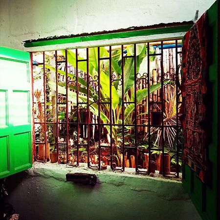 Meanwhile In Veracruz Buitenkant foto