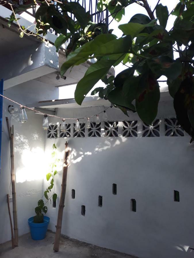 Meanwhile In Veracruz Buitenkant foto