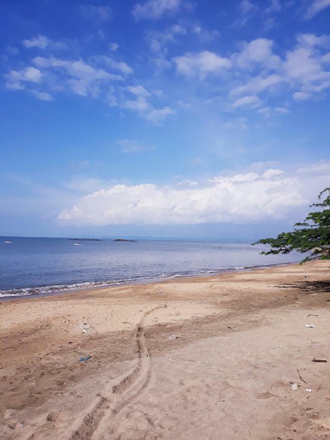 Meanwhile In Veracruz Buitenkant foto